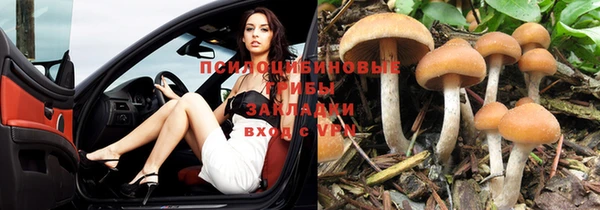 мяу мяу кристалл Новокубанск